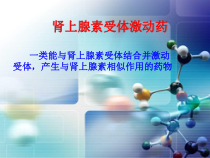 肾上腺素激动药教学课件