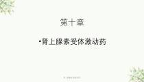 肾上腺素受体激动药3课件
