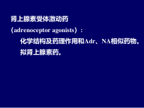 肾上腺素激动药课件