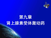 肾上腺素激动药课件_2