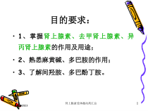 肾上腺素受体激动药汇总培训课件
