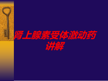 肾上腺素受体激动药讲解培训课件