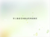 肾上腺素受体激动药和阻断药课件_2