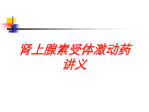 肾上腺素受体激动药讲义培训课件