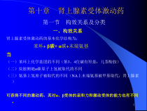 肾上腺素受体激动药教学课件_2