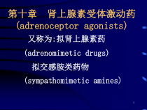 肾上腺素受体激动药推荐课件