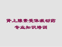 肾上腺素受体激动药专业知识培训培训课件