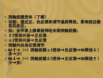 肾上腺素受体阻断药教学课件