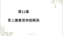 肾上腺素受体阻断药课件