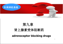 肾上腺素受体阻断药课件_2