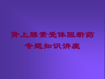 肾上腺素受体阻断药专题知识讲座培训课件