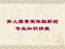 肾上腺素受体阻断药专业知识讲座培训课件
