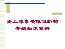 肾上腺素受体阻断药专题知识宣讲培训课件