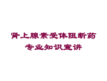 肾上腺素受体阻断药专业知识宣讲培训课件