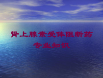 肾上腺素受体阻断药专业知识培训课件