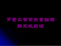 肾素血管紧张素醛固酮系统药理培训课件