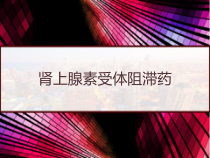 肾上腺素受体阻滞药-课件