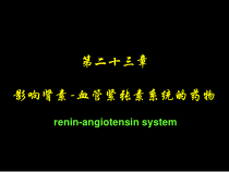肾素血管紧张素系统药理课件