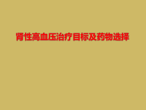 肾性高血压治疗目标及药物选择课件