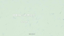 肾脏病与药物治疗课件