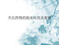 升压药物的临床应用及观察课件