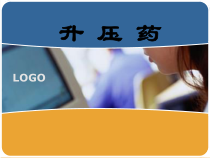 升压药课件