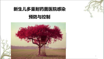 生儿多重耐药菌感染课件
