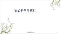 试述妊娠期用药原则课件