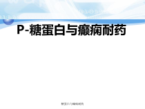 糖蛋白与癫痫耐药课件