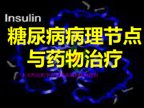 糖尿病病理节点与药物作用课件