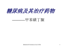糖尿病的作用机制及其治疗药物课件