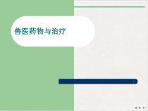 兽医药物与治疗完美版课件