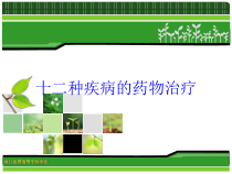 十二种疾病的药物治疗培训课件