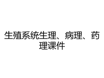 生殖系统生理病理药理课件