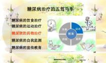 糖尿病的药物治疗宣教培训课件