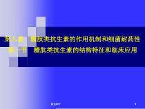 糖肽类抗生素课件