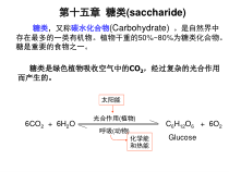 糖药学专升本陆涛版课件