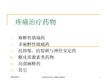 疼痛的药物治疗麻醉性镇痛药培训课件