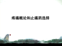 疼痛概论和止痛药选择课件