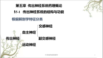 外周神经系统药理课件
