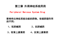 外周神经系统用药课件