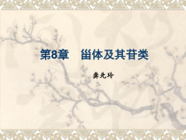 天然药物化学教学-天药8-甾体及其皂苷类课件