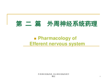 外周神经系统药理传出神经系统药理学概论-课件
