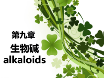 天然药化生物碱类化合物课件