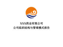 乌苏里江药业集团管理模式报告课件