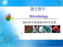 铜绿假单胞菌的耐药课件