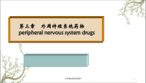 外周神经系统药课件