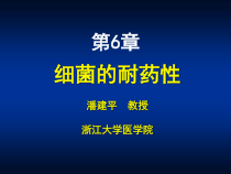 微生物学第06节-细菌耐药性课件
