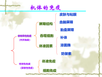 微生物学药学专业非特异性免疫课件