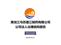 乌苏里江药业治理结构报告-1219课件